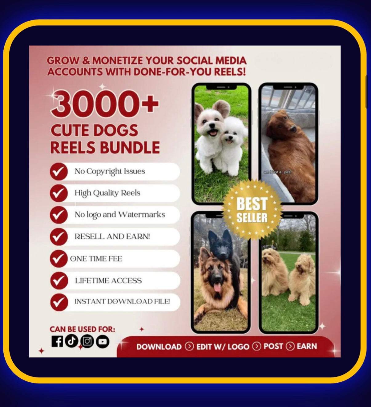 3000+ cute dogs reels bundle